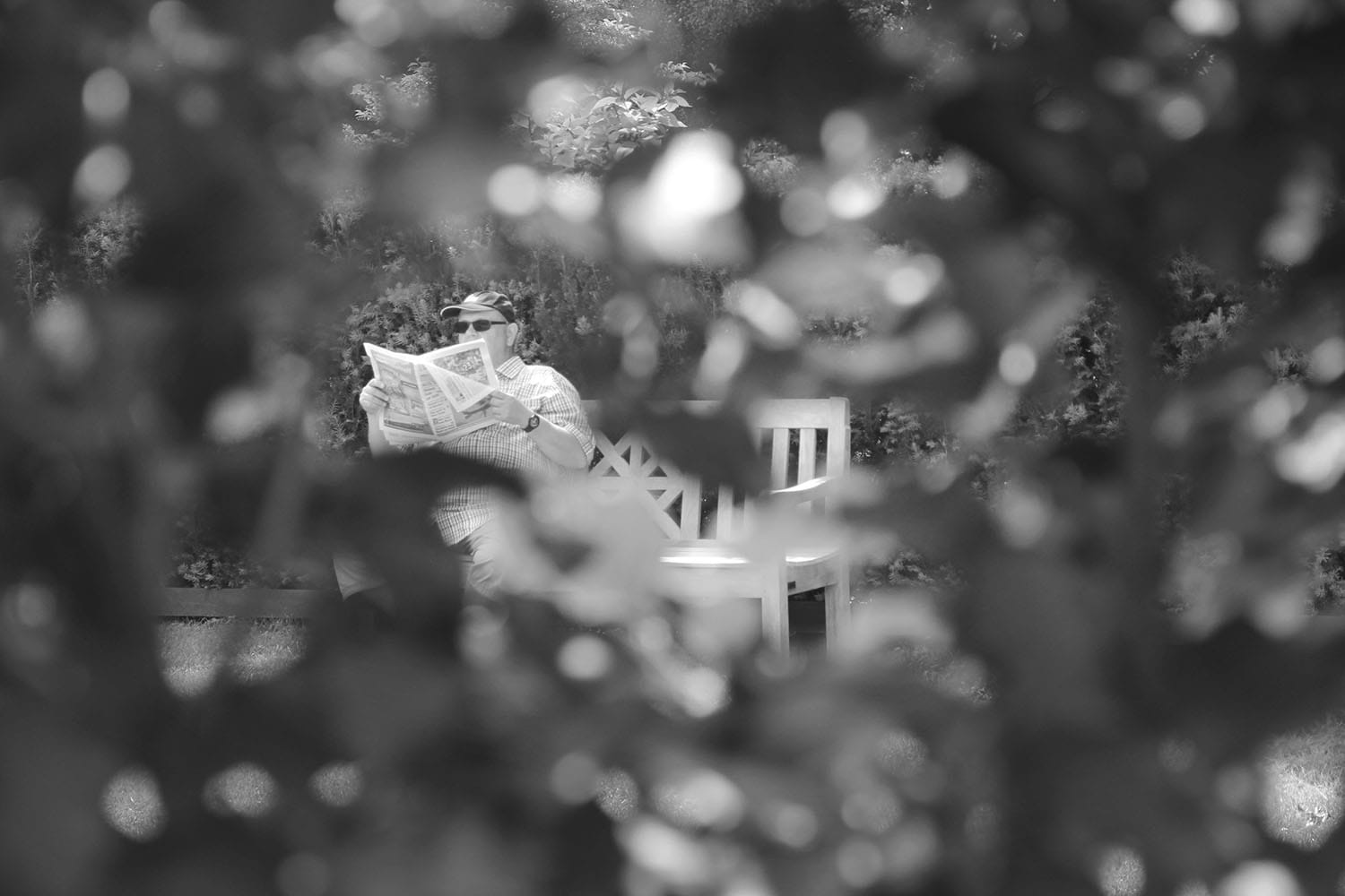 20160603_BIGDAY_parkandgarden_0028