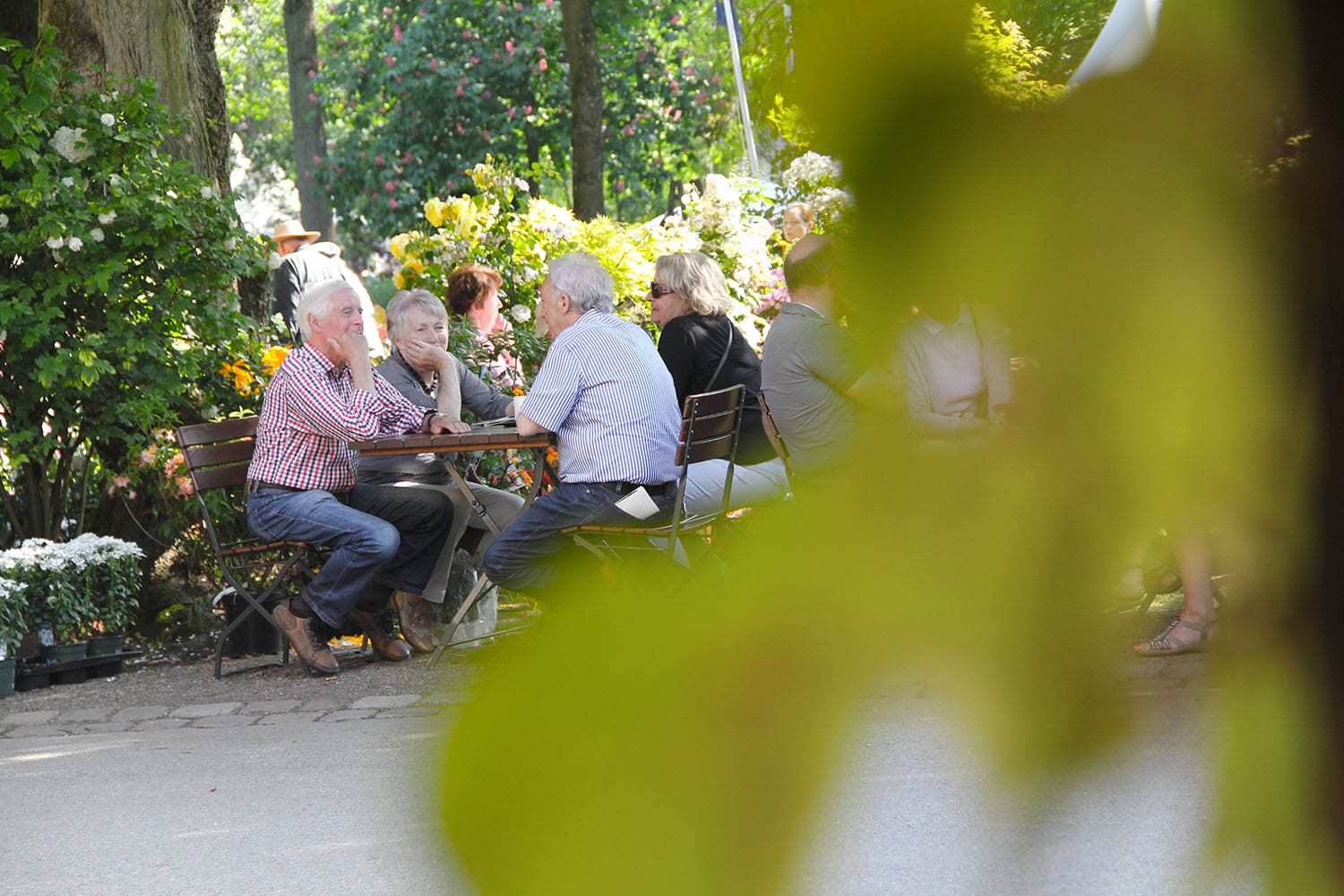 20160603_BIGDAY_parkandgarden_0062